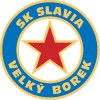 sk_slavia_velkyborek.jpg